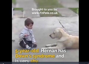 4.4K views · 227 reactions | Dogs are soooo smart. #fitpetz #cleverdog #downssyndrome | I Love My Petz | Facebook