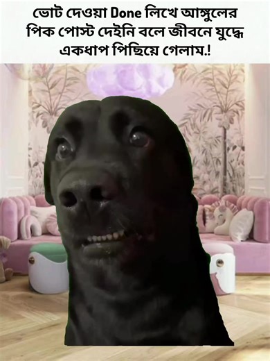 ভোট দেয়ার মৌলিকতা ও অদ্ভুত অভিজ্ঞতা