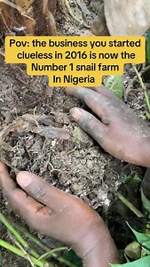 People keep asking me, “Is snail farming still profitable in Nigeria?” My answer is always the same: Snail farming never stopped working. People stopped starting. Let’s be honest for a minute. Every year, thousands of people say: • “I’ll start farming when I have more money” • “Let me gather more information” • “I’m still watching and learning” Meanwhile… People who started small are already supplying restaurants, exporters, and households. That’s why I created SNAIL FARMING RELOADED. Not theory