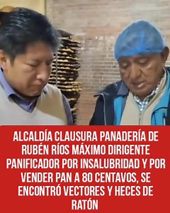 21K views · 175 reactions | Alcaldía de #LaPaz clausura panadería de Rubén Ríos máximo dirigente panificador por insalubridad y por vender pan a 80 centavos, se encontró vectores y heces de ratón #Wilson_Coronel #Noticias | Wilson Coronel - Informando la Verdad Acontecida en La Paz y Bolivia | Facebook