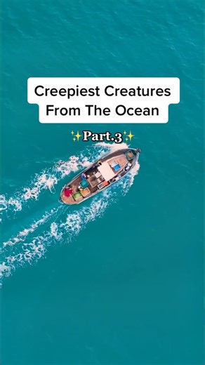 1.8K views | UFO or Giant Snake? ‍ | Wildlife | Facebook