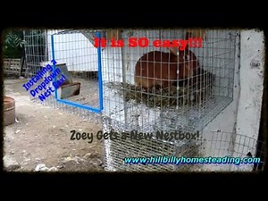 Rabbit Husbandry - Installing a Dropdown Nest Box on a Rabbit Cage.mp4