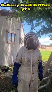 2K views · 184 reactions | Killer Bee Guy on Reels | Facebook