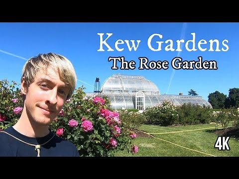 Kew Gardens - The Rose Garden (4K)