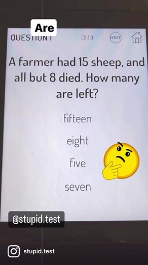 Stupid Test! on TikTok