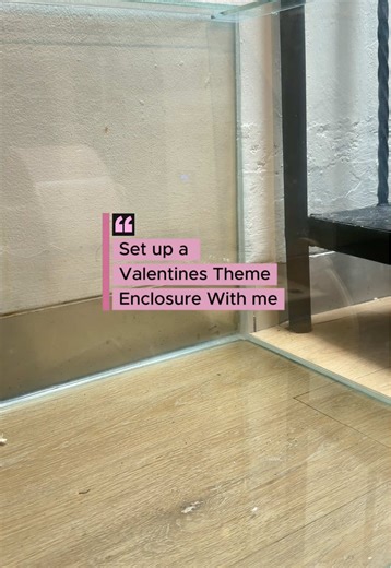 Valentine's Theme Hamster Enclosure Setup