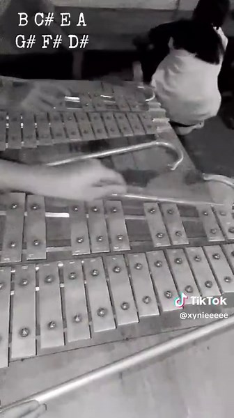 Lyre Chords for 'Blue' by Yung Kai