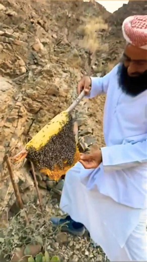 كيف يتم إنتاج العسل في قمم الجبال؟ 🍯⛰️ | How Honey Is Produced on Mountain Peaks