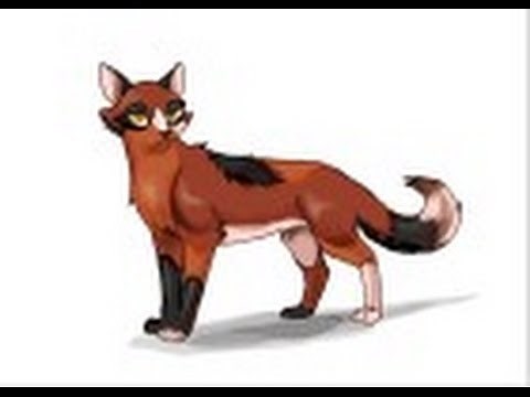 How to draw Spottedleaf from Warrior Cats