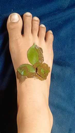 Very Easy And Beautiful Leaf Mehndi Design ❤️🌿#leafmehndi​​#youtubeshorts#mehndi#shorts