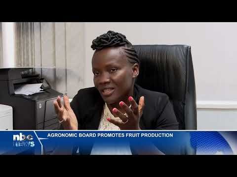 AGRONOMIC BOARD INVITES FARMERS TO JOIN FRUIT VALUE CHAIN SCHEME - nbc