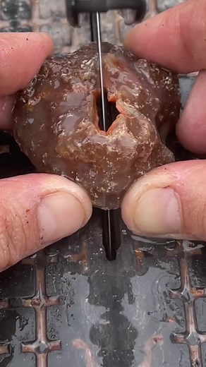 Botryoidal geode agate cut open! #agatedad #botryoidal #geode