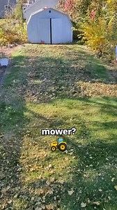 124K views · 370 reactions | This Customer STOLE My Lawn Mower!  #lawncare #mowing #grassmastermatt #shorts | Lawn care | Facebook