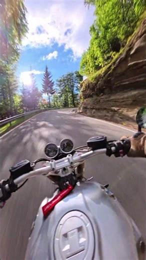 Bmw R Nine T - Pov raw exhaust sound forest run pt.2 #bmwrninet #exhaustsound #pov #motorcycle
