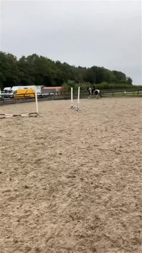 ayoooitsgarlic.sauce op TikTok