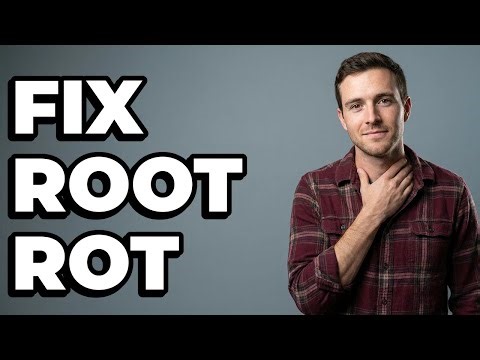 What Should You Do For Plant Root Rot?