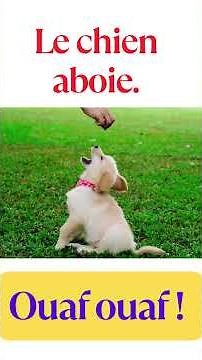 Animal Sounds in French | Animal Sounds