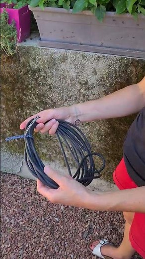 Utilisez une attache tuteur astucieuse pour bien tuteurer vos tomates et plantes grimpantes !