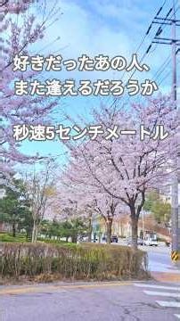 山崎まさよし「ワンモアタイム、ワンモアチャンス」1997年