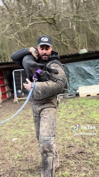 sprinkles of pressure to create a resilient little dog, she just eats it up, some dog she is 🤩 #highdrivedog #sportdog #trialdog #personalprotectiondog #securitydog #bullherder #bitework #dutchherder #pitbull #athleticdog #fitdog #dogtraining #dogsoftiktok #dogs #dogtok #nastydog #civildog #pressuremakesdiamonds