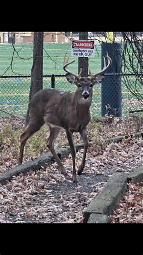 歷 | Jacob Mills | Facebook