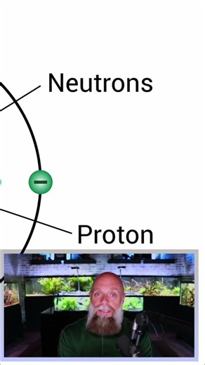 Organic Chemistry Basics for Biology Macromolecules Explained