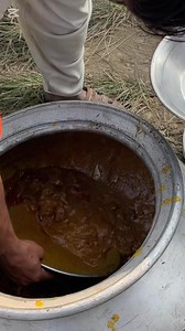 Street food | Icon Food