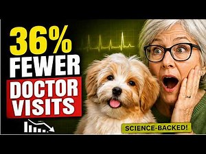 10 Best Dog Breeds for Seniors (And 3 That Are a Mistake)
