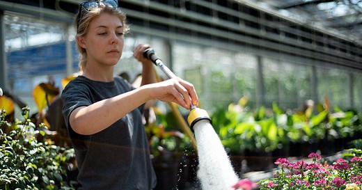 Greenhouse Technician Program | Niagara College