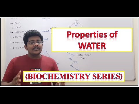 1. Properties of WATER | Biochemistry | Notes and Practice Questions in description