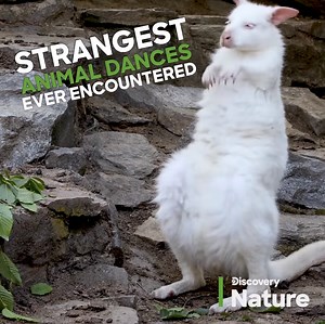 There’s a story behind every Discovery. Find your next adventure now. | Discovery