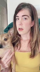 Cinderella #dog #puppy #pup | De Casper