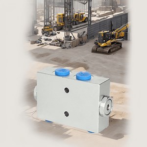 [Hot Item] Premium Cast Steel Double Pilot Hydraulic Check Valve for Industrial Use