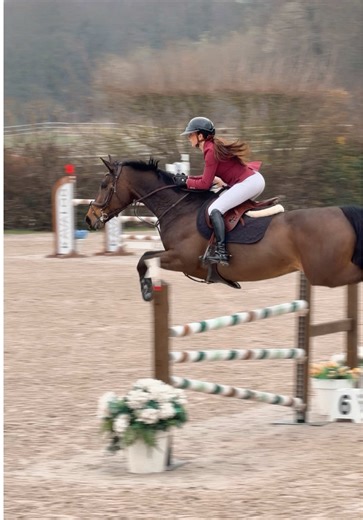 Concours équestre et journées avec la team Arcour