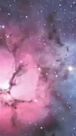 What if Time Could Run BACKWARDS? Entropy's Dirty Secret ⏱️🤯 #shorts