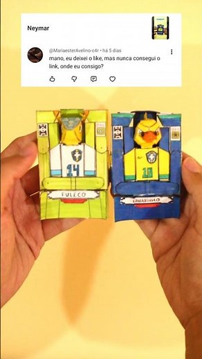 Transforming Canarinho and Fuleco into 3D