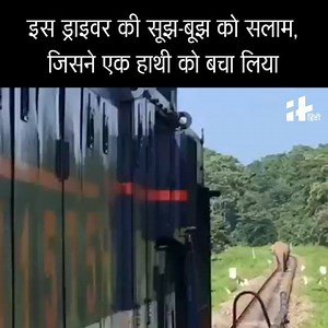 Thanks to this Engine Driver for taking action in time. But still it dosent justify a railway track going through the forest | Save the Tiger