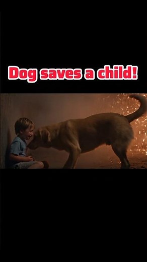 Brave Dogs Save Child from Fire 🔥🐕❤️