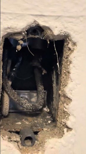 Knob and Tube wiring in a Box.