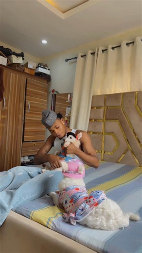 Effective Dog Training Techniques for Pet Owners