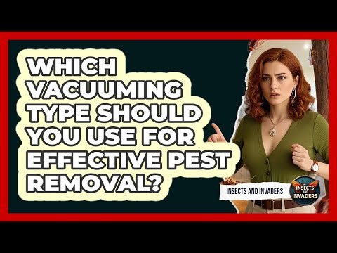 Which Vacuuming Type Should You Use For Effective Pest Removal? - Insects and Invaders