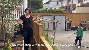 Fence Lady | Know Your Meme