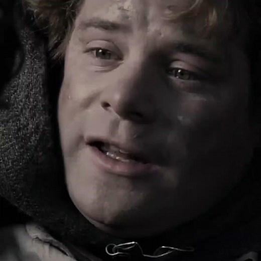 I'm sure they loved each other without knowing it. #lordoftherings #frodobaggins #frodosam #samfrodo #lordoftheringsedit #lgbt #gay #frodoxsam