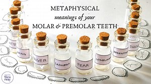 Metaphysical meanings of molars and premolars- Holistic Tooth Fairy