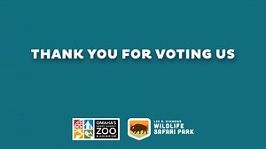 🎉 WE’RE #1 🎉 That’s right! We’ve been named Best Safari Park once again in USA TODAY’s 10Best Readers’ Choice Awards. Together with the Zoo, we swept all categories for the third consecutive year: 1️⃣ Best Safari Park – Lee G. Simmons Wildlife Safari Park | fifth consecutive win 1️⃣ Best Zoo – Omaha's Henry Doorly Zoo and Aquarium | third consecutive win 1️⃣ Best Zoo Exhibit – Desert Dome | sixth consecutive win for Best Zoo Exhibit and second for Desert Dome 1️⃣ Best Zoo Membership – Omaha’s 