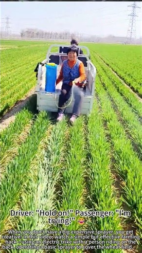 Electric trike spraying wheat fields – genius hack! 🚜💨