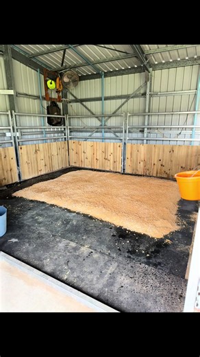 Review of Proteq Equine Bedding: A Cheaper Alternative