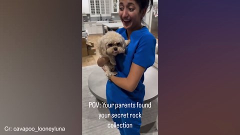 Dogs and Humans Having Fun Together – Hilarious Dog Moments