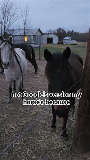 learn your horses normal temp, and write it down in their records. It's one of the 1st things to ✅️