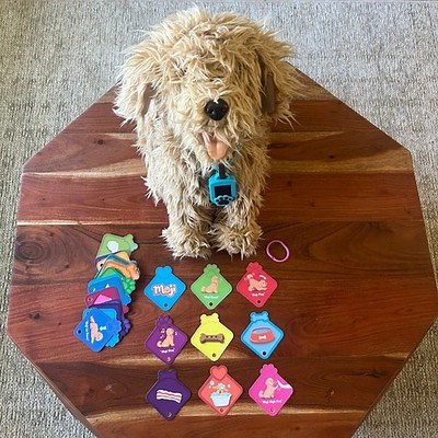 Moji Labradoodle Interactive Dog Toy My Fuzzy Friends Tested Works Cards Video | eBay